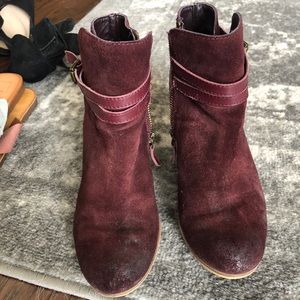 Suede booties Burgundy